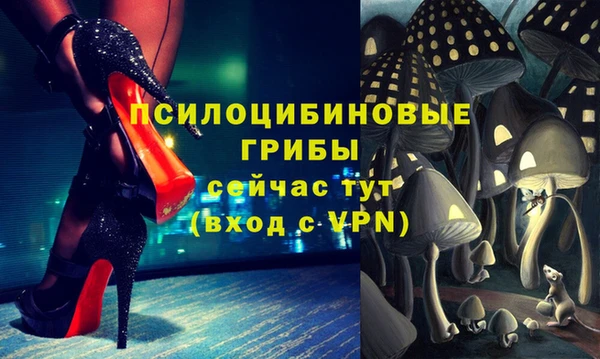 гидропоника Белоозёрский